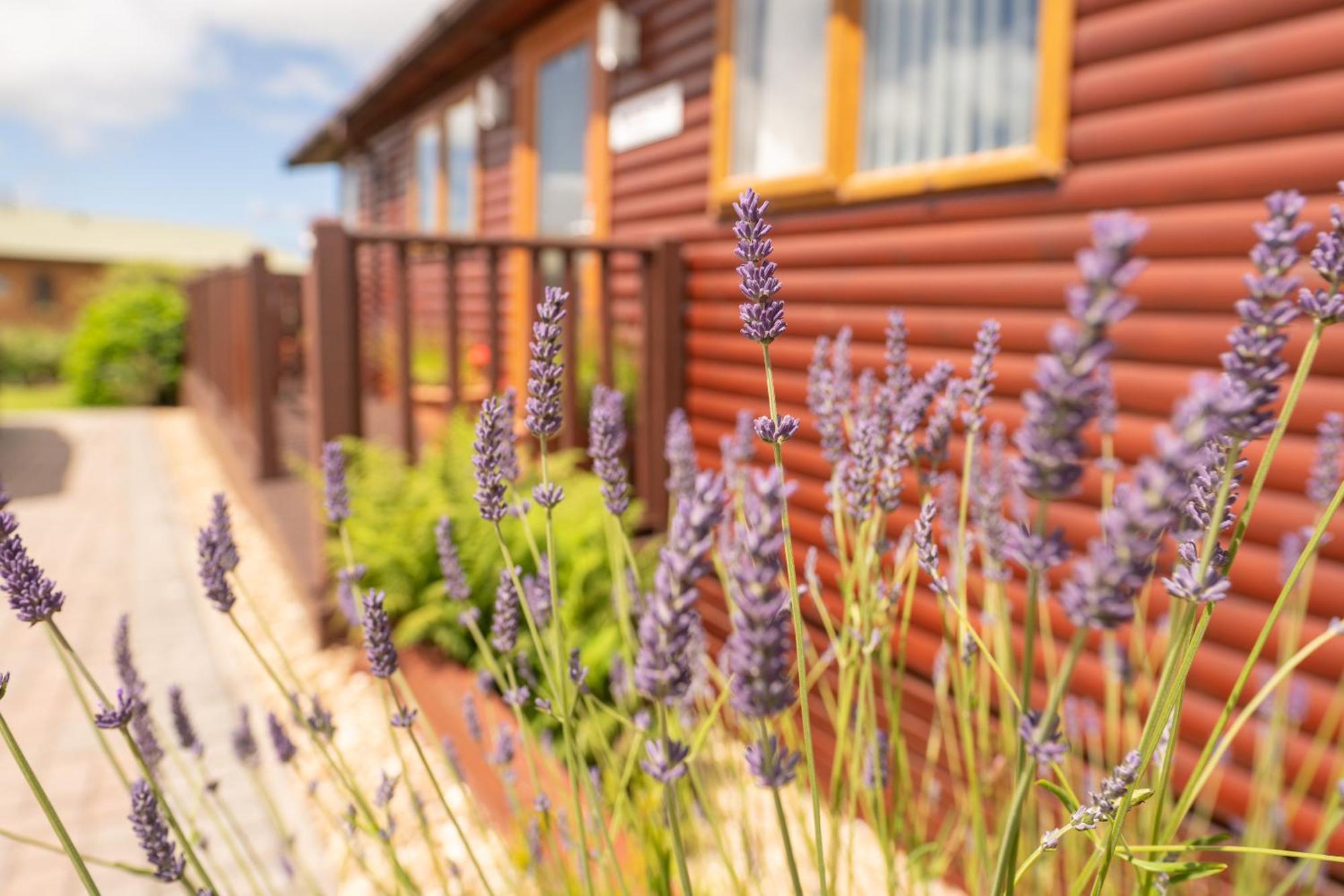 5 Ocean View - 3 Bed-sleeps 6-tjs5ov Holiday home Woolacombe